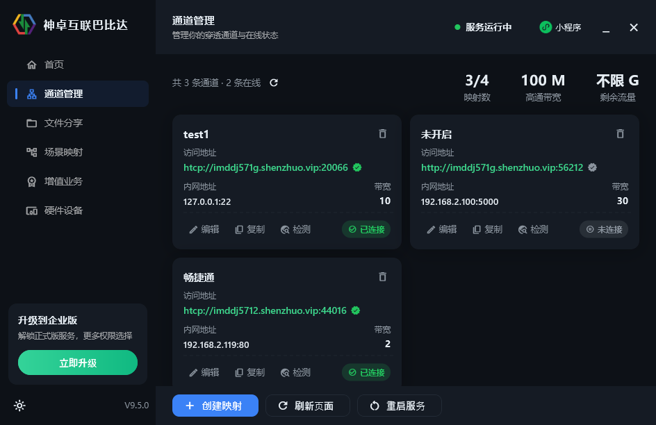 巴比达内网穿透 Windows 客户端界面